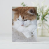 (Feline Extravagant) Kitty Contemplation: Cat Foto Karte (Stehend Vorderseite)