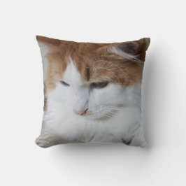 (Feline Extravagant) Kitty Contemplation: Cat Foto Kissen