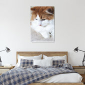 (Feline Extravagant) Kitty Contemplation: Cat Foto Leinwanddruck (Insitu (Schlafzimmer))