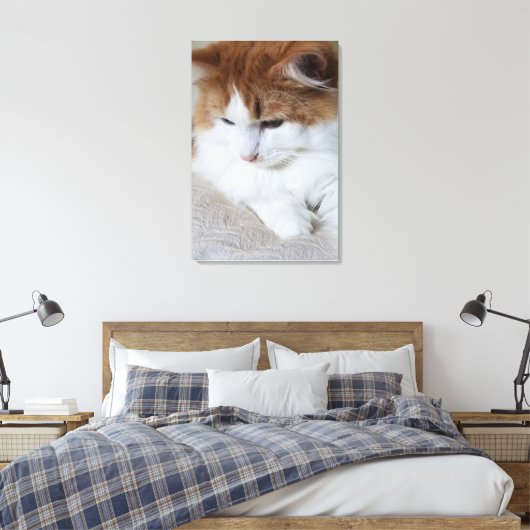 (Feline Extravagant) Kitty Contemplation: Cat Foto Leinwanddruck (Insitu (Schlafzimmer))