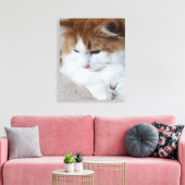 (Feline Extravagant) Kitty Contemplation: Cat Foto Leinwanddruck (Insitu (Wohnzimmer))