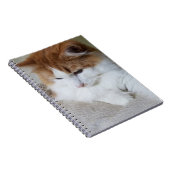 (Feline Extravagant) Kitty Contemplation: Cat Foto Notizblock (Rechte Seite)