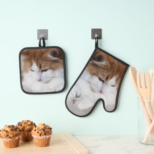 (Feline Extravagant) Kitty Contemplation: Cat Foto Ofenhandschuh & Topflappen-Set (Insitu (Hängend))
