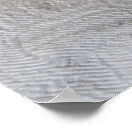 (Feline Extravagant) Kitty Contemplation: Cat Foto Poster (Ecke)