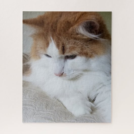(Feline Extravagant) Kitty Contemplation: Cat Foto Puzzle (Vertikal)