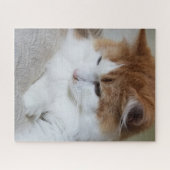 (Feline Extravagant) Kitty Contemplation: Cat Foto Puzzle (Horizontal)