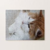 (Feline Extravagant) Kitty Contemplation: Cat Foto Puzzle (Horizontal)