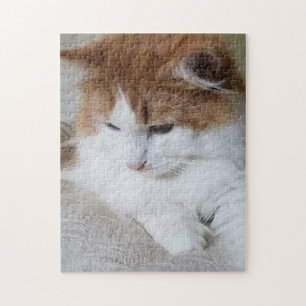 (Feline Extravagant) Kitty Contemplation: Cat Foto Puzzle