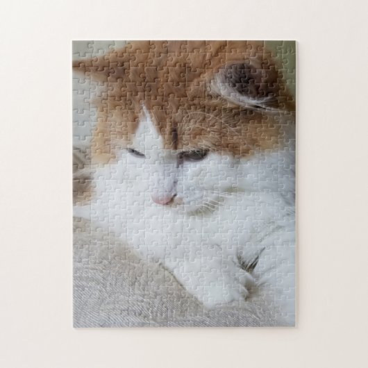 (Feline Extravagant) Kitty Contemplation: Cat Foto Puzzle (Vertikal)