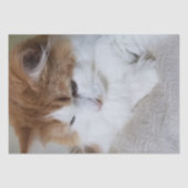 (Feline Extravagant) Kitty Contemplation: Cat Foto Seidenpapier (Vorderseite)