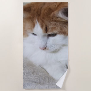 (Feline Extravagant) Kitty Contemplation: Cat Foto Strandtuch