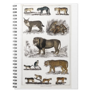 Feline Family Picture Ledge Notizblock
