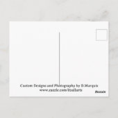 FELINE FINESSE #1 POSTKARTE (Rückseite)