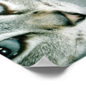 Feline Friends 2001 Poster (Ecke)