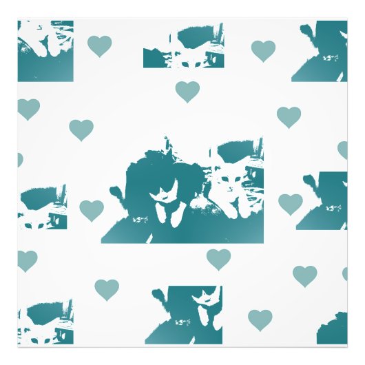 Feline Friends. Adorable Kitten Duo. Fotodruck (Vorne)