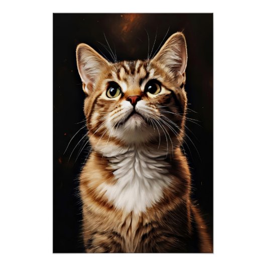 Feline Gaze Poster (Vorderseite)