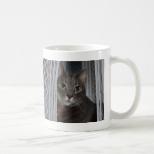 Feline Hübsch Kitty Niedliche Katze je Foto Tasse