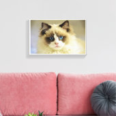 Feline Leinwanddruck (Insitu (Wohnzimmer))