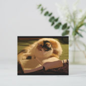Feline Lincoln Postkarte (Stehend Vorderseite)