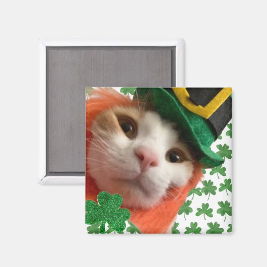 Feline Lucky? Magnet (Vorderseite/Rückseite)