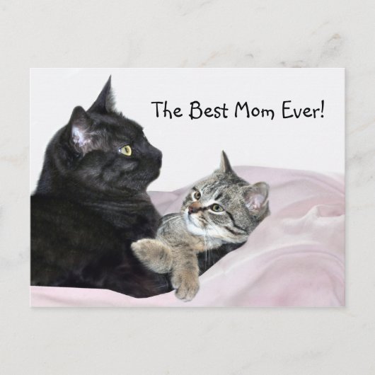 Feline Mother Day Postkarte (Vorderseite)