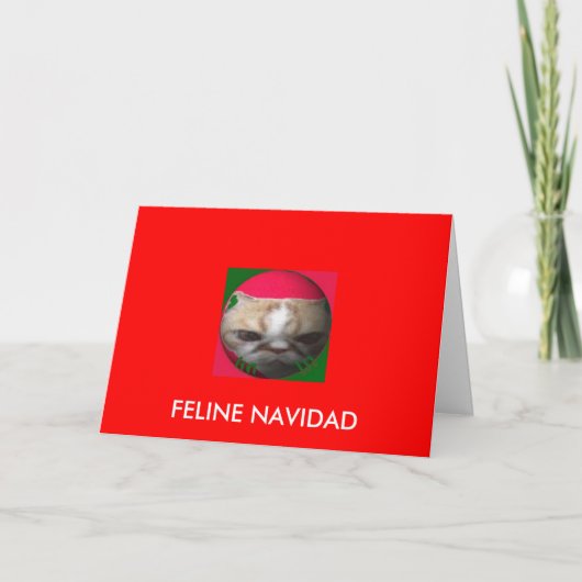 Feline Navidad Feiertagskarte (Vorderseite)