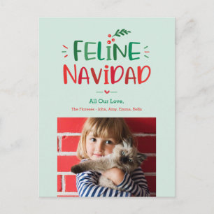 Feline Navidad Pet Weihnachtsfeiertag Postkarte