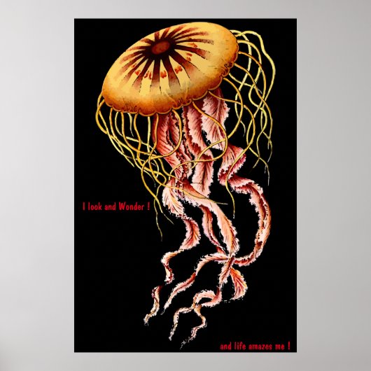 Feline Poster (Vorne)