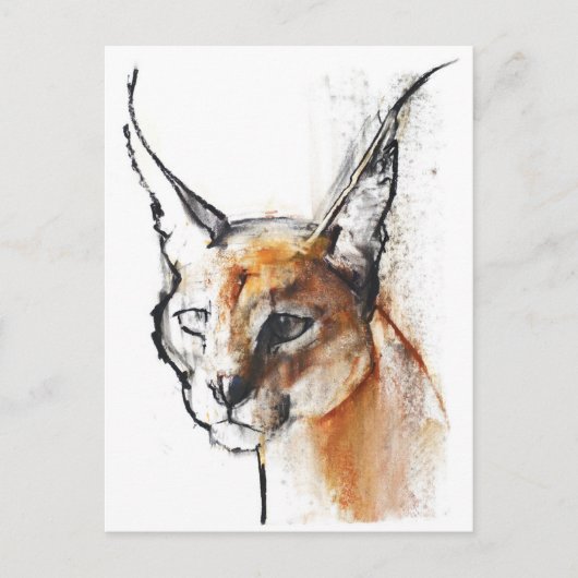 Feline Postkarte (Vorderseite)