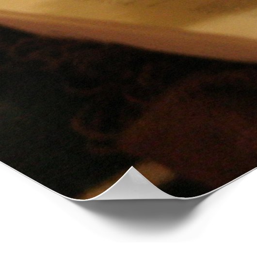 Feline Scholar Poster (Ecke)