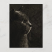 Feline Silhouette - Postkarte (Vorderseite)