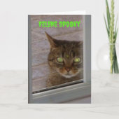 Feline Spooky Cat Halloween Karte (Vorderseite)