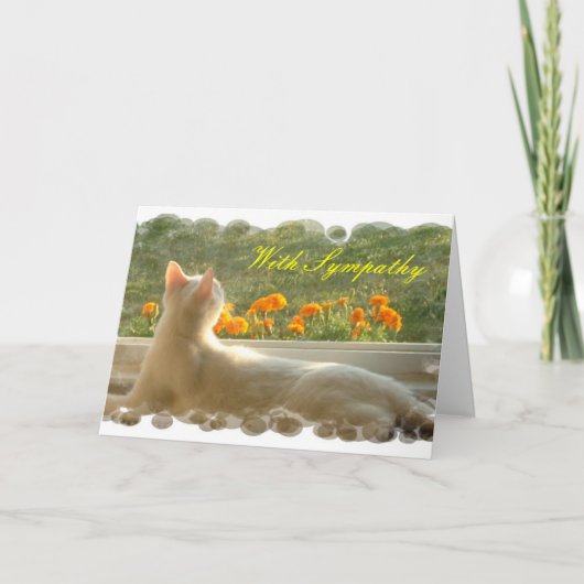 Feline Sympathy Card Karte (Vorderseite)