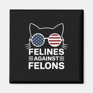 Felines gegen Felsen Magnet