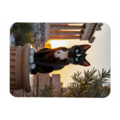 Felini besucht den Parthenon: Eine griechische Ody Magnet (Horizontal)