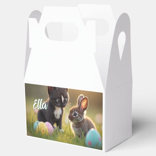 Felini & Fluffy: Eine Ostergeschichte von zwei Fre Geschenkschachtel (Geöffnet)