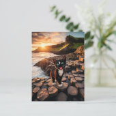 Felinis irisches Abenteuer - Der Riesenkauseweg Postkarte (Stehend Vorderseite)