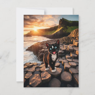 Felinis irisches Abenteuer - Der Riesenkauseweg Postkarte