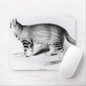 Felis Pajeros, Platte 9 Mousepad (Mit Mouse)