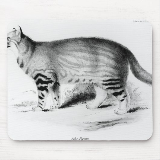 Felis Pajeros, Platte 9 Mousepad (Vorne)