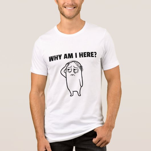 Felix ist verloren Tri-Blend shirt (Vorderseite)