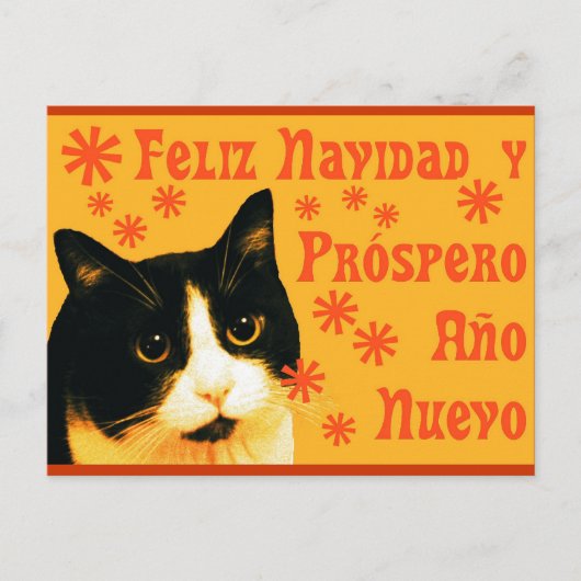 Felix Navidad Postkarte (Vorderseite)