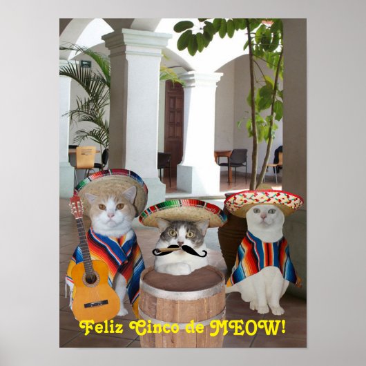 Feliz Cinco de MEOW! Poster (Vorne)