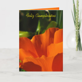 Feliz Cumpleaños - Amapola De Kalifornien Karte