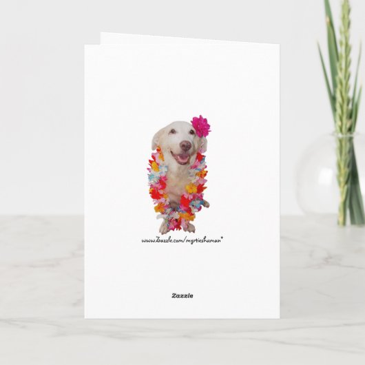 ¡Feliz cumpleaños! Karte (Rückseite)