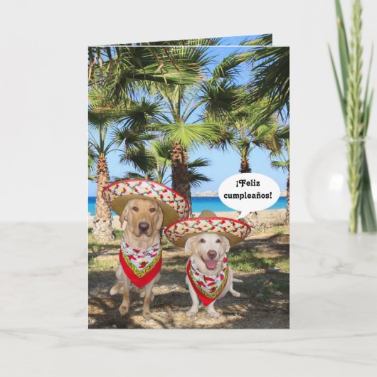 ¡ Feliz cumpleaños! Karte (Vorderseite)