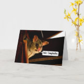 Feliz Cumpleaños Spanischer Geburtstag mit possum Karte (Gelbe Blume)