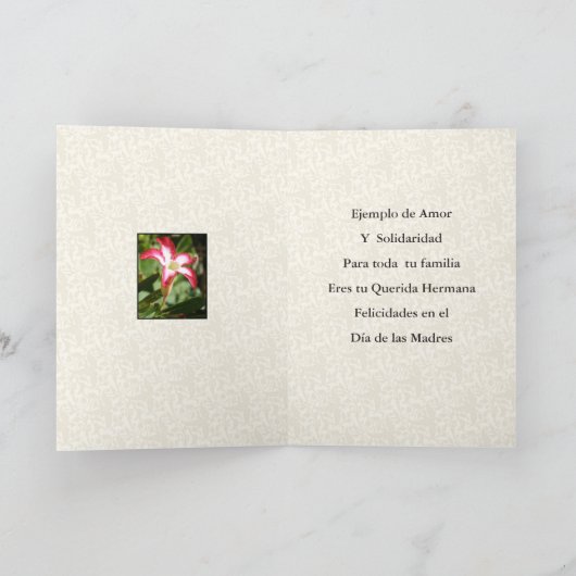 Feliz Dia de las Madres Querida Hermana Karte (Innenseite)