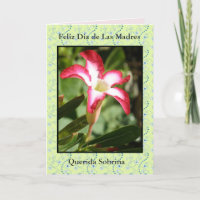 Feliz Dia de Las Madres Sobrina
