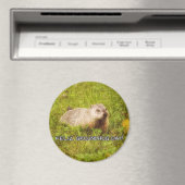 Feliz Groundhog Day Magnet (In Situ (Geschirrspüler))